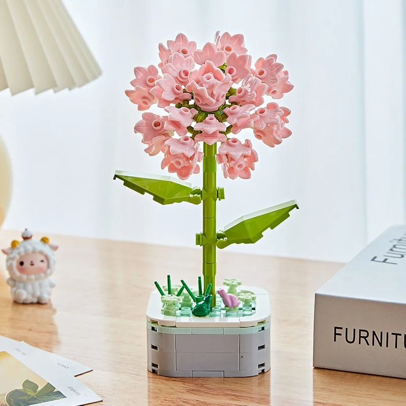Carnation
