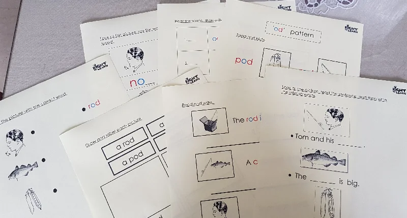 Educational toys for teaching digital marketing concepts​ Montessori Pink Scheme - Phonics - word family - Patterns Worksheet